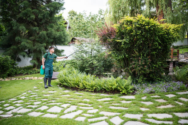 Best Affordable Pest Control Services  in York Harbor, ME