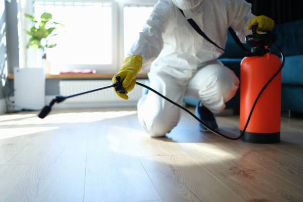 Professional Pest Control in York Harbor, ME