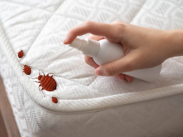 Best Emergency Pest Control  in York Harbor, ME